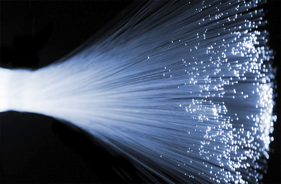 FIBRE OPTIQUE DÉDIÉE T-LINK NETWORK OPERATEUR FIBRE OPTIQUE DÉDIÉE T-LINK NETWORK OPERATEUR